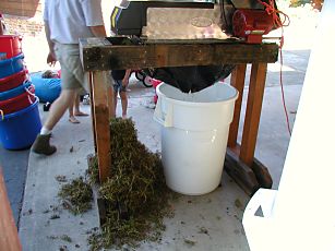 the crushed grapes falling out of the bottom of the Zambelli