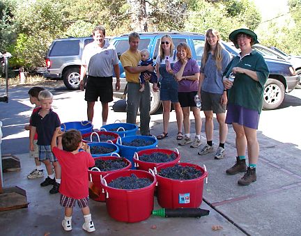 group of people standing in front of tubs of newly harvested wine grapes