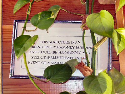 earthquake warning sign hidden behind a house plant