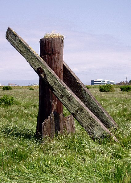 old piling in field of grass