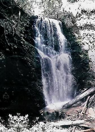 big_basin_water_fall.jpg (58899 bytes)