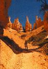 Hoodoos in Bryce Canyon