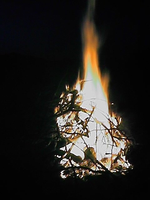 fire.jpg (39173 bytes)